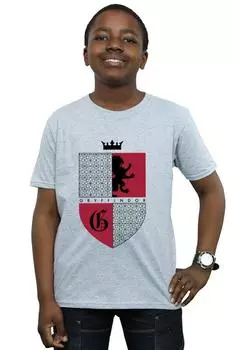 Футболка «Щит Гриффиндора» Harry Potter, серый