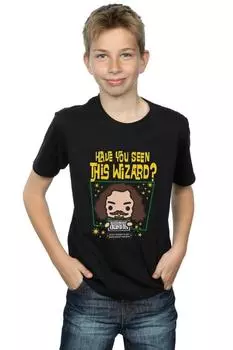 Футболка «Сириус Блэк Азкабан» Harry Potter, черный