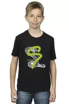 Футболка Слизерин с поп-спрей Harry Potter, черный