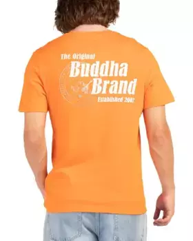 Футболка со штампом True Religion, цвет Puffins Bill