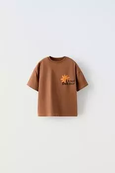 Футболка солнца ZARA, коричневый