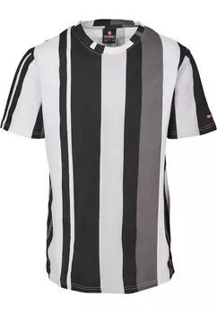 Футболка SOUTHPOLE, смешанные цвета