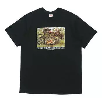 Футболка ss20 week 1 masterpieces tee landscape printing short sleeve black Supreme, черный