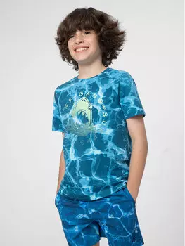 Футболка стандартного кроя 4F, мультиколор