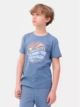 Футболка стандартного кроя 4F, синий