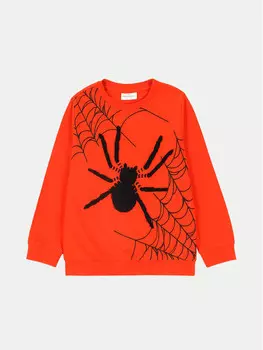 Футболка стандартного кроя Coccodrillo, красный