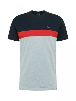 Футболка стандартного кроя Iriedaily Court, светло-серый/черный