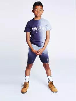 Футболка стандартного кроя Timberland, синий