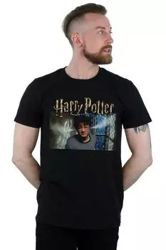 Футболка Steam Ears Harry Potter, черный