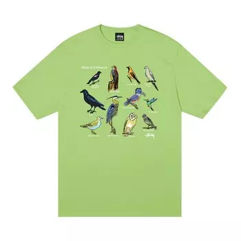 Футболка Stussy California Birds Чай
