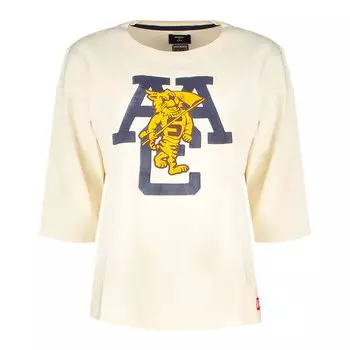 Футболка Superdry Collegiate Ivy League Crew 3/4 Sleeve, бежевый