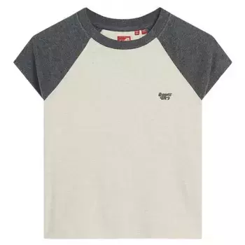 Футболка Superdry Essential Logo Raglan, серый