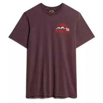 Футболка Superdry Great Outdoor Chest Graphc, коричневый