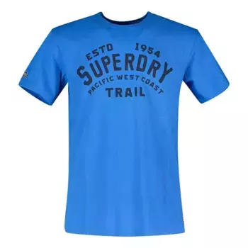 Футболка Superdry Heritage Mountain Relax, синий
