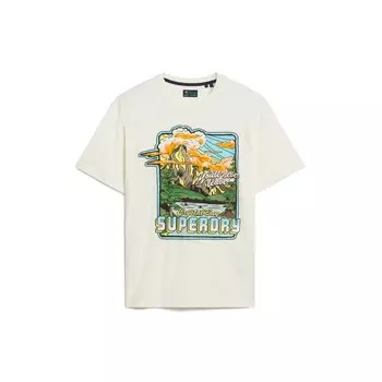 Футболка Superdry Neon Travel Graphic Loose, бежевый