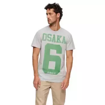 Футболка Superdry Osaka 6 Marl Standard, серый