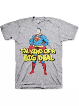 Футболка Superman, серый