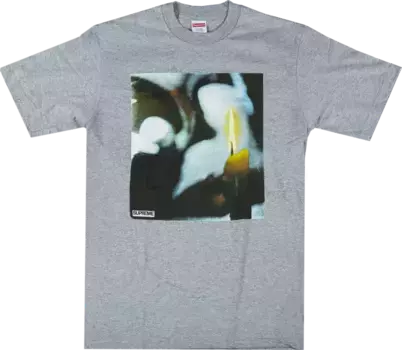 Футболка Supreme Candle T-Shirt 'Grey', серый