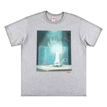Футболка Supreme F**k Heather Grey