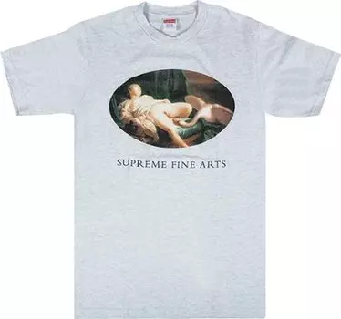 Футболка Supreme Leda And The Swan Tee 'Ash Grey', серый