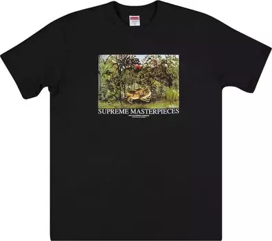 Футболка Supreme Masterpieces Tee 'Black', черный