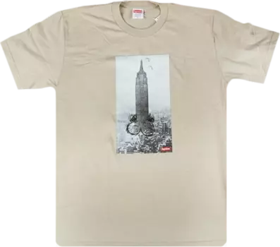 Футболка Supreme Mike Kelley The Empire State Building T-Shirt 'Clay', коричневый