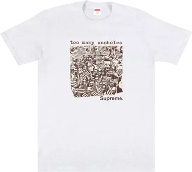 Футболка Supreme Too Many Assholes Tee 'Ash Grey', серый