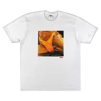 Футболка Supreme x Butthole Surfers Rembrandt Pussyhorse Tee 'White', белый