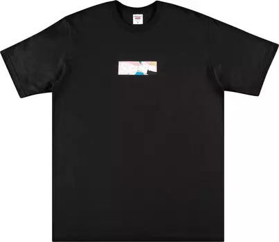 Футболка Supreme x Emilio Pucci Box Logo Tee 'Black/Dusty Pink', черный