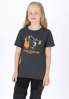 Футболка Swedemount, разноцветный