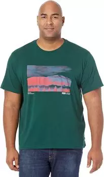 Футболка свободного кроя с короткими рукавами Levi's, цвет Ponderosa Pine