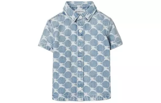 Футболка ТД Burberry, синий