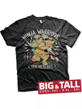 Футболка Teenage Mutant Ninja Turtles, черный