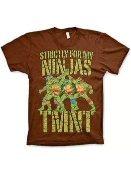 Футболка Teenage Mutant Ninja Turtles, коричневый