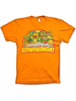 Футболка Teenage Mutant Ninja Turtles, оранжевый