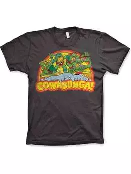 Футболка Teenage Mutant Ninja Turtles, серый