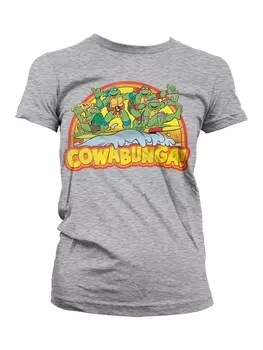 Футболка Teenage Mutant Ninja Turtles, серый