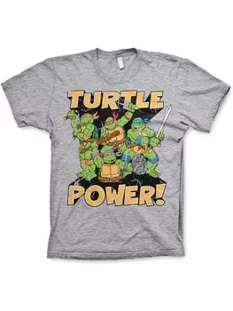 Футболка Teenage Mutant Ninja Turtles, серый