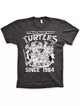 Футболка Teenage Mutant Ninja Turtles, серый