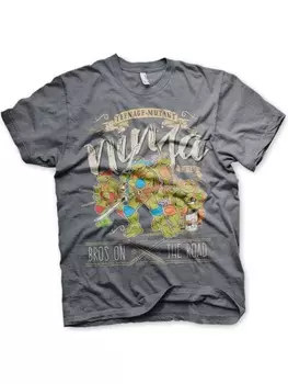 Футболка Teenage Mutant Ninja Turtles, серый