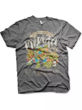 Футболка Teenage Mutant Ninja Turtles, серый