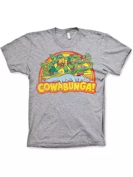 Футболка Teenage Mutant Ninja Turtles, серый