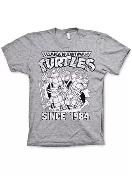 Футболка Teenage Mutant Ninja Turtles, серый