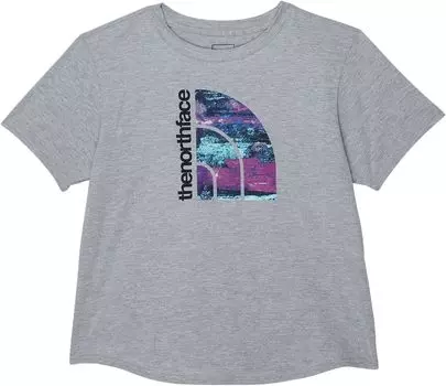 Футболка The North Face Short Sleeve Graphic Tee, цвет TNF Light Grey Heather/Scuba Blue