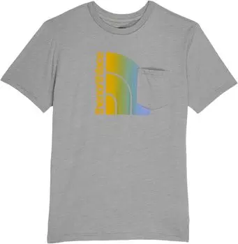Футболка The North Face Short Sleeve Tri-Blend Graphic Tee, цвет TNF Light Grey Heather