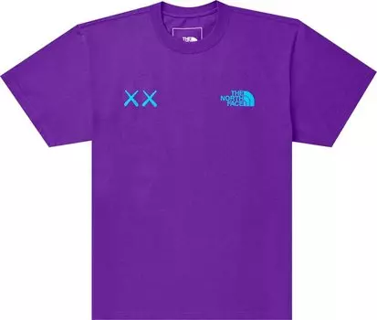 Футболка The North Face x KAWS Short-Sleeve Tee 'Gravity Purple', фиолетовый