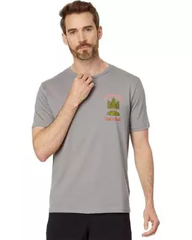 Футболка Timberland The Rising Sun Graphic Tee, цвет Cloudburst