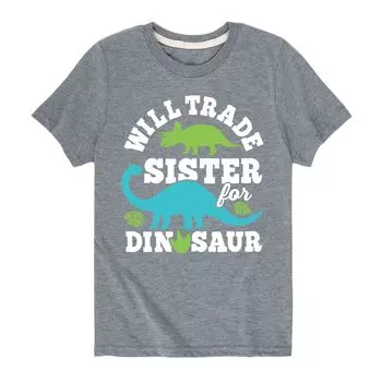 Футболка Trade Sister For Dinosaur для мальчиков 8–20 лет Licensed Character, серый