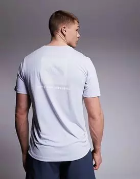 Футболка Training 24/7 Box NSE с принтом на спине серого цвета The North Face