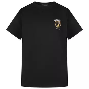 Футболка унисекс Automobili Lamborghini, черный